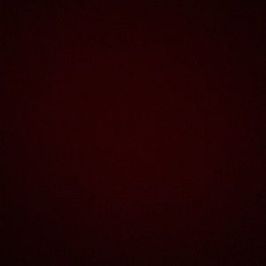 Meet your Posher, Ginger